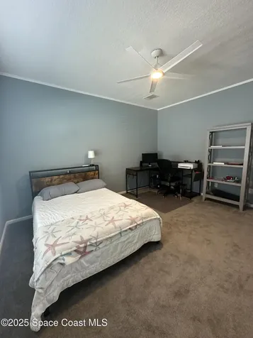 919 Vireo Drive Barefoot Bay FL 32976