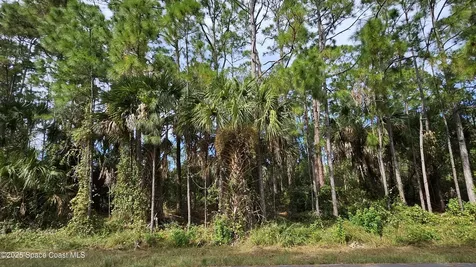 817 Reading Street SE Palm Bay FL 32909