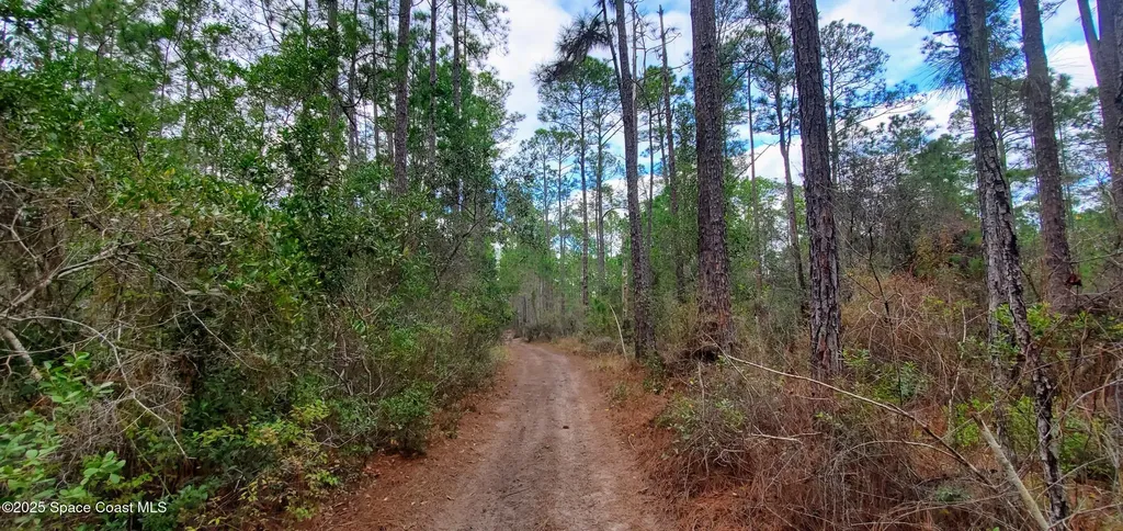 00 No Street Deland FL 32724
