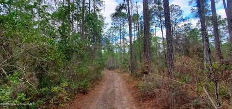 00 No Street Deland FL 32724