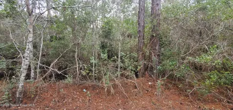 00 No Street Deland FL 32724