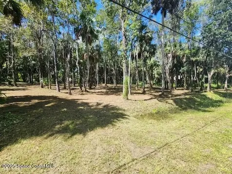 4110 Hampton Lane Mims FL 32754