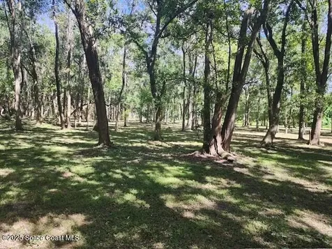 4110 Hampton Lane Mims FL 32754