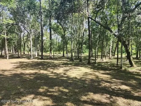 4110 Hampton Lane Mims FL 32754
