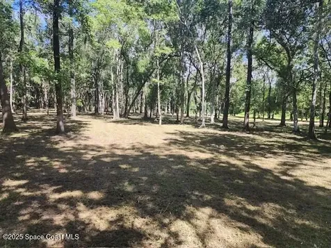4110 Hampton Lane Mims FL 32754