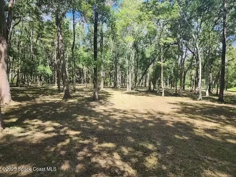 4110 Hampton Lane Mims FL 32754
