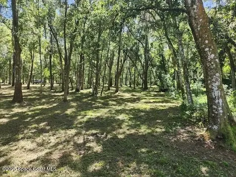 4110 Hampton Lane Mims FL 32754