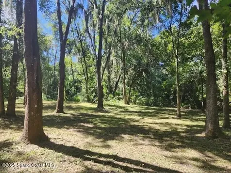 4110 Hampton Lane Mims FL 32754
