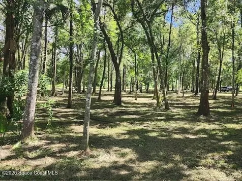 4110 Hampton Lane Mims FL 32754