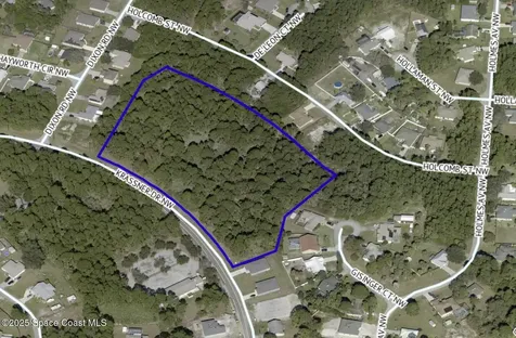 00000 Krassner Drive Palm Bay FL 32907