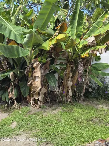 310 Glenwood Avenue Satellite Beach FL 32937