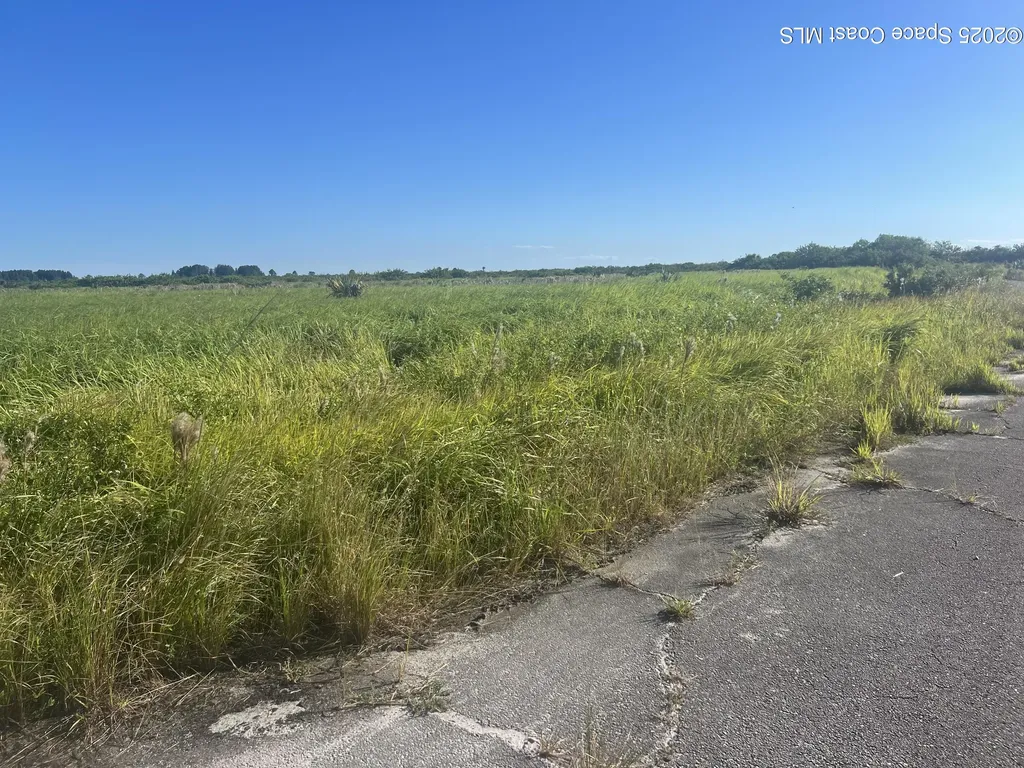 1054 Melzer Street SW Palm Bay FL 32908