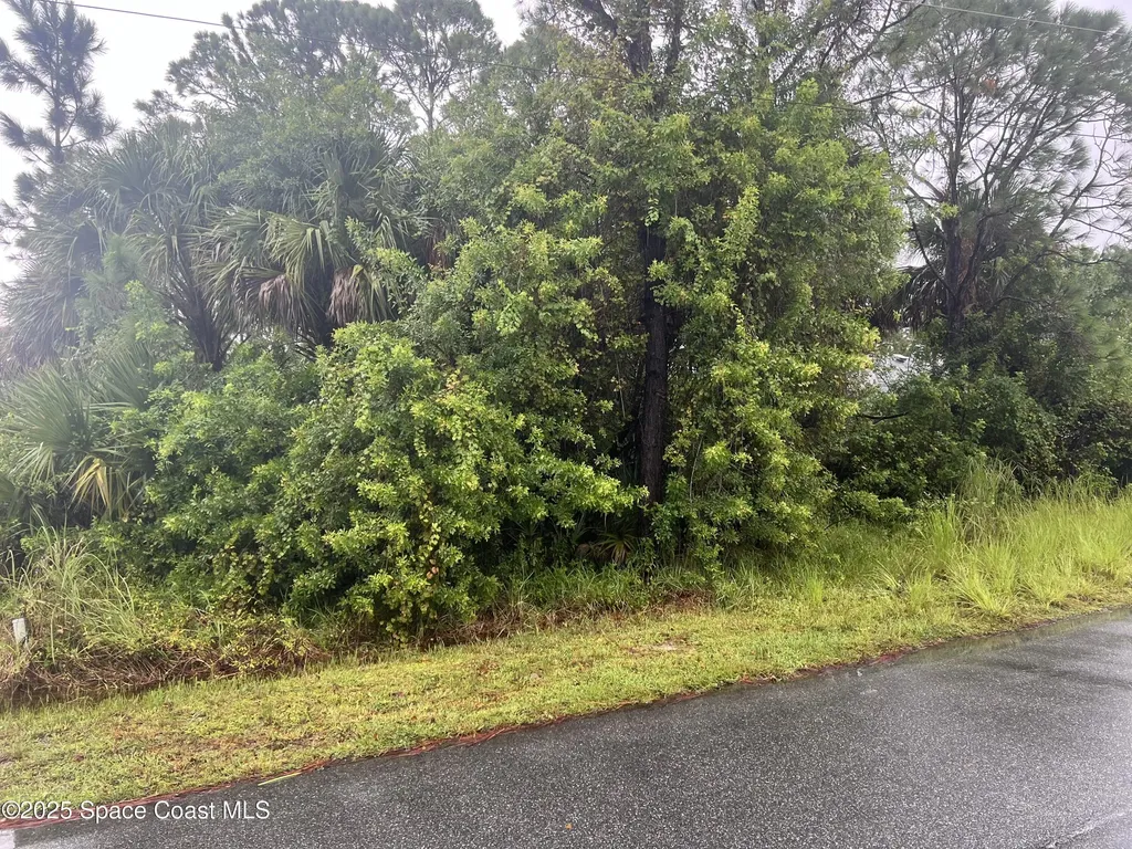 149 Feldman Street SE Palm Bay FL 32909