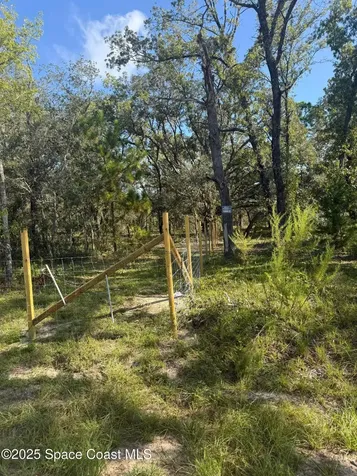 0 112 Lane Silver Springs FL 34488