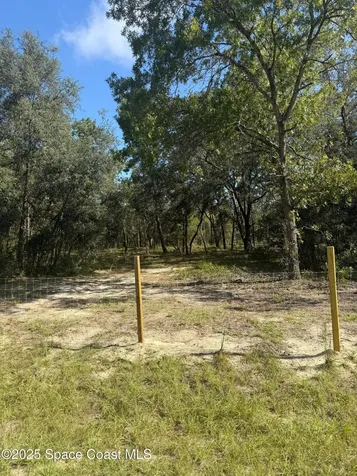 0 112 Lane Silver Springs FL 34488