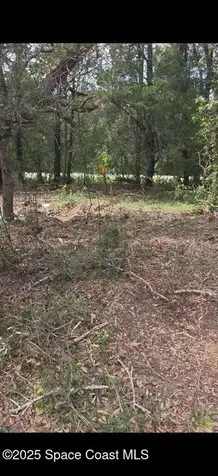 0 112 Lane Silver Springs FL 34488