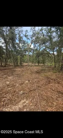 0 112 Lane Silver Springs FL 34488