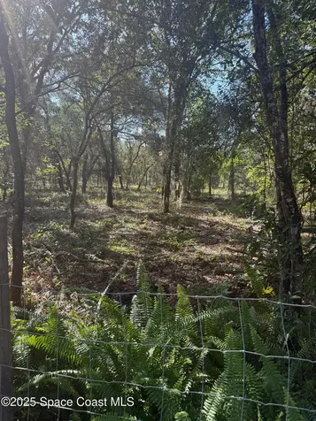 0 112 Lane Silver Springs FL 34488