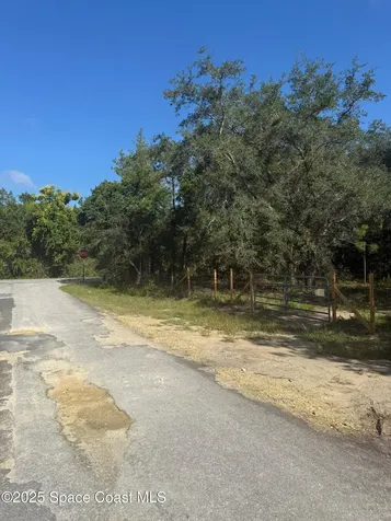 0 112 Lane Silver Springs FL 34488