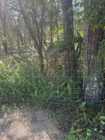 0 112 Lane Silver Springs FL 34488