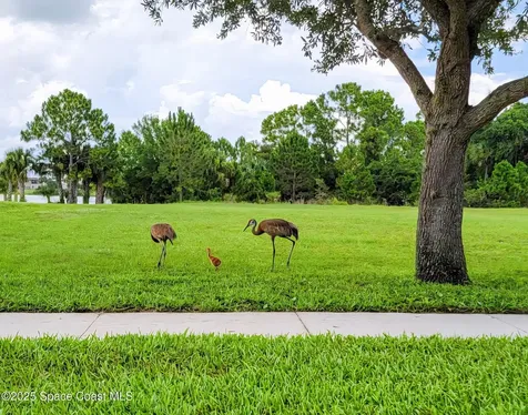 3527 Province Drive Melbourne FL 32934