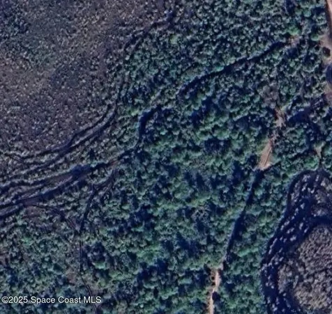 0000 Unknown Mims FL 32754