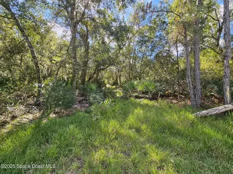 4600 N Beacon Light Road N Edgewater FL 32141