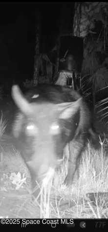 000 Holopaw Groves Road St. Cloud FL 34771