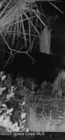 000 Holopaw Groves Road St. Cloud FL 34771