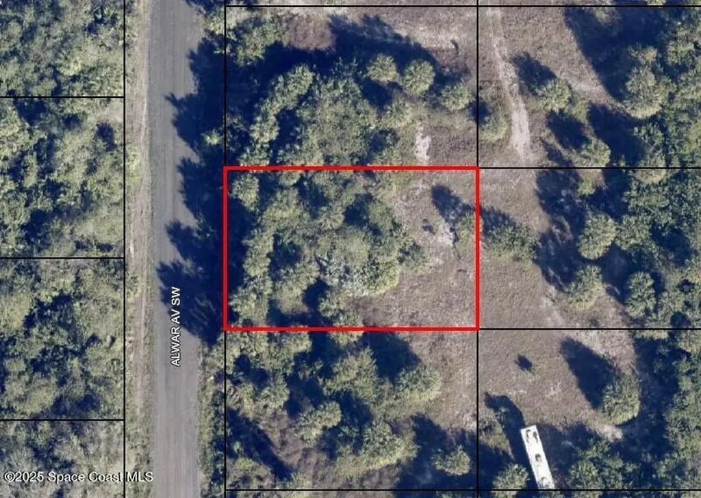 2015 Alwar Avenue SW Palm Bay FL 32908