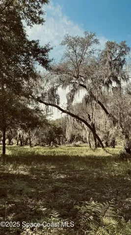 1758 Cr 308 Crescent City FL 32112