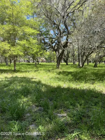 1758 Cr 308 Crescent City FL 32112