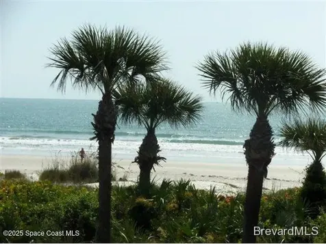 446 Beach Park Lane Cape Canaveral FL 32920