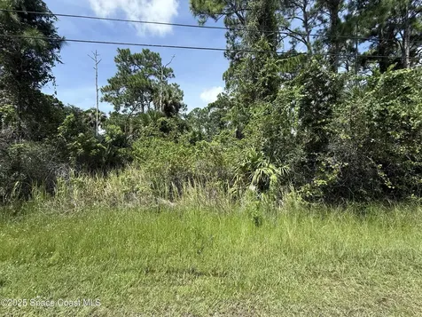 2628 Port Smith SW Palm Bay FL 32908