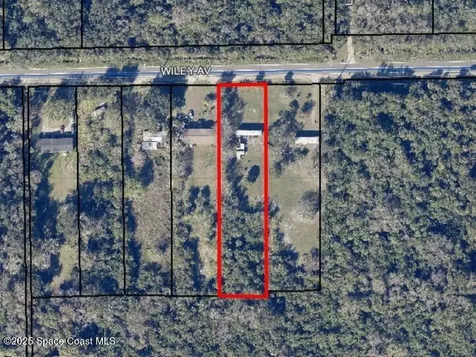 2585 Wiley Avenue Mims FL 32754