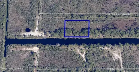 0 Doug Williams Avenue Cocoa FL 32926