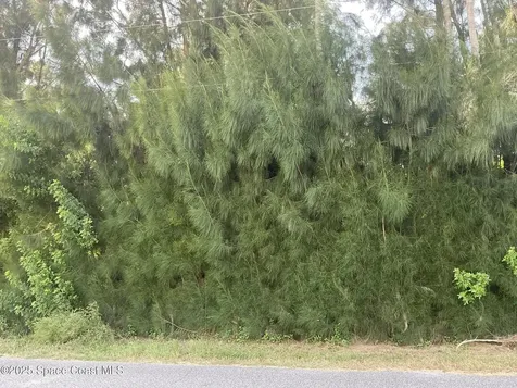 000 Arabella Lane Cocoa FL 32927