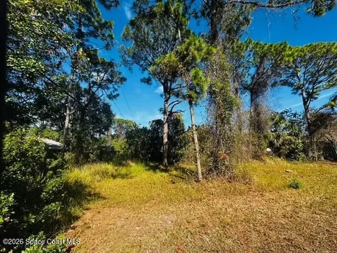 298 Dobbins Road NW Palm Bay FL 32907