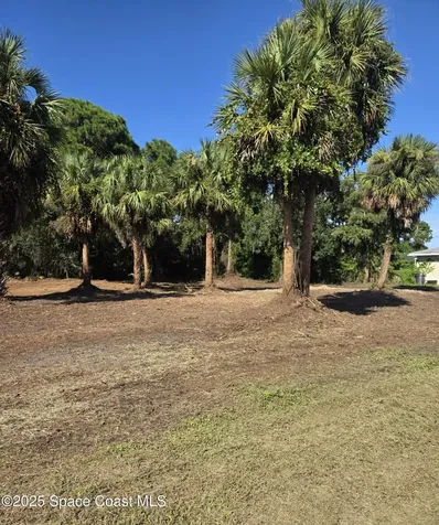 2723 Jupiter Boulevard SW Palm Bay FL 32908