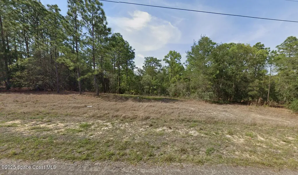 6936 N Lime Drive Dunnellon FL 34433
