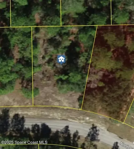 6936 N Lime Drive Dunnellon FL 34433
