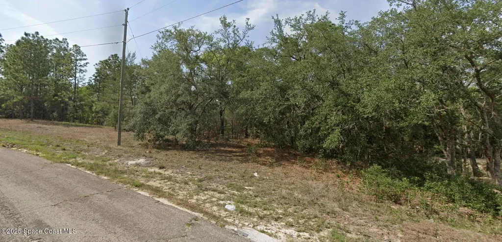 6940 N Lime Drive Dunnellon FL 34433