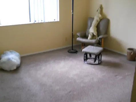 3513 Tree Ridge Lane NE Palm Bay FL 32905