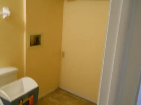 3513 Tree Ridge Lane NE Palm Bay FL 32905