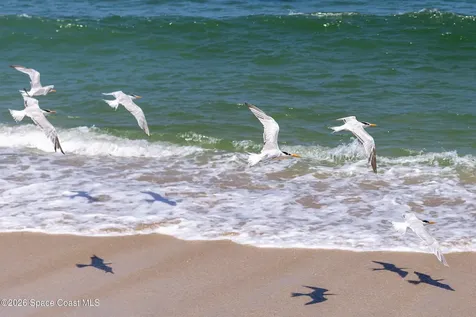 7354 S Hwy A1a Melbourne Beach FL 32951