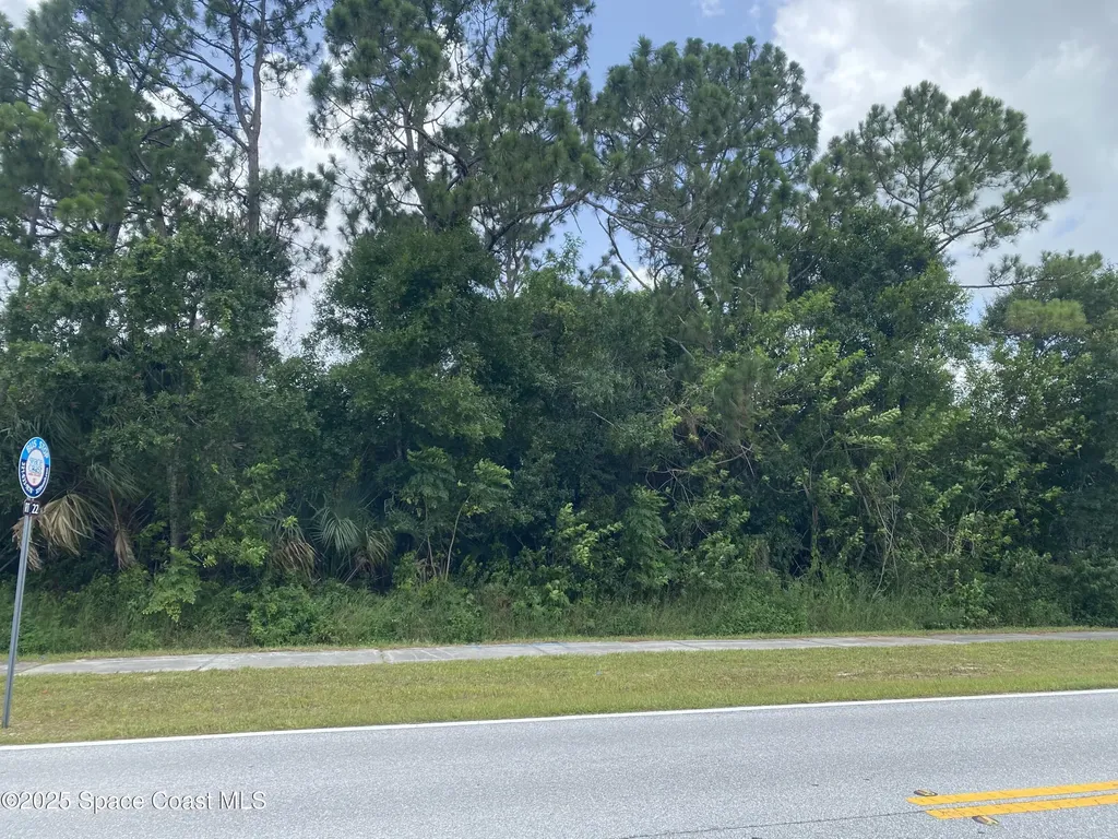 824 Emerson Drive NE Palm Bay FL 32907