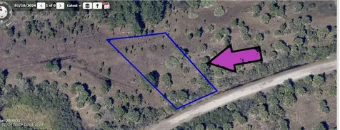 681 Leafy Road Palm Bay FL 32908