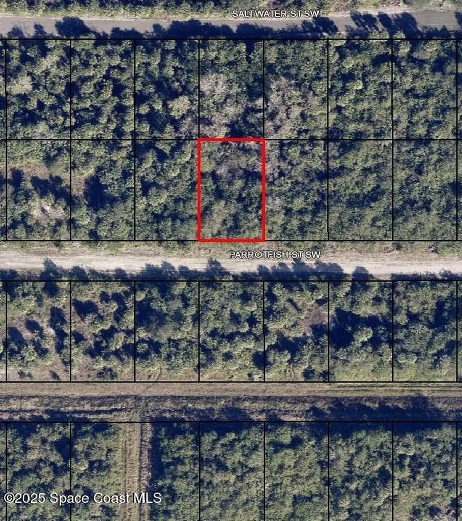 677 Parrotfish Street SW Palm Bay FL 32908