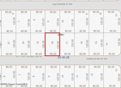 677 Parrotfish Street SW Palm Bay FL 32908