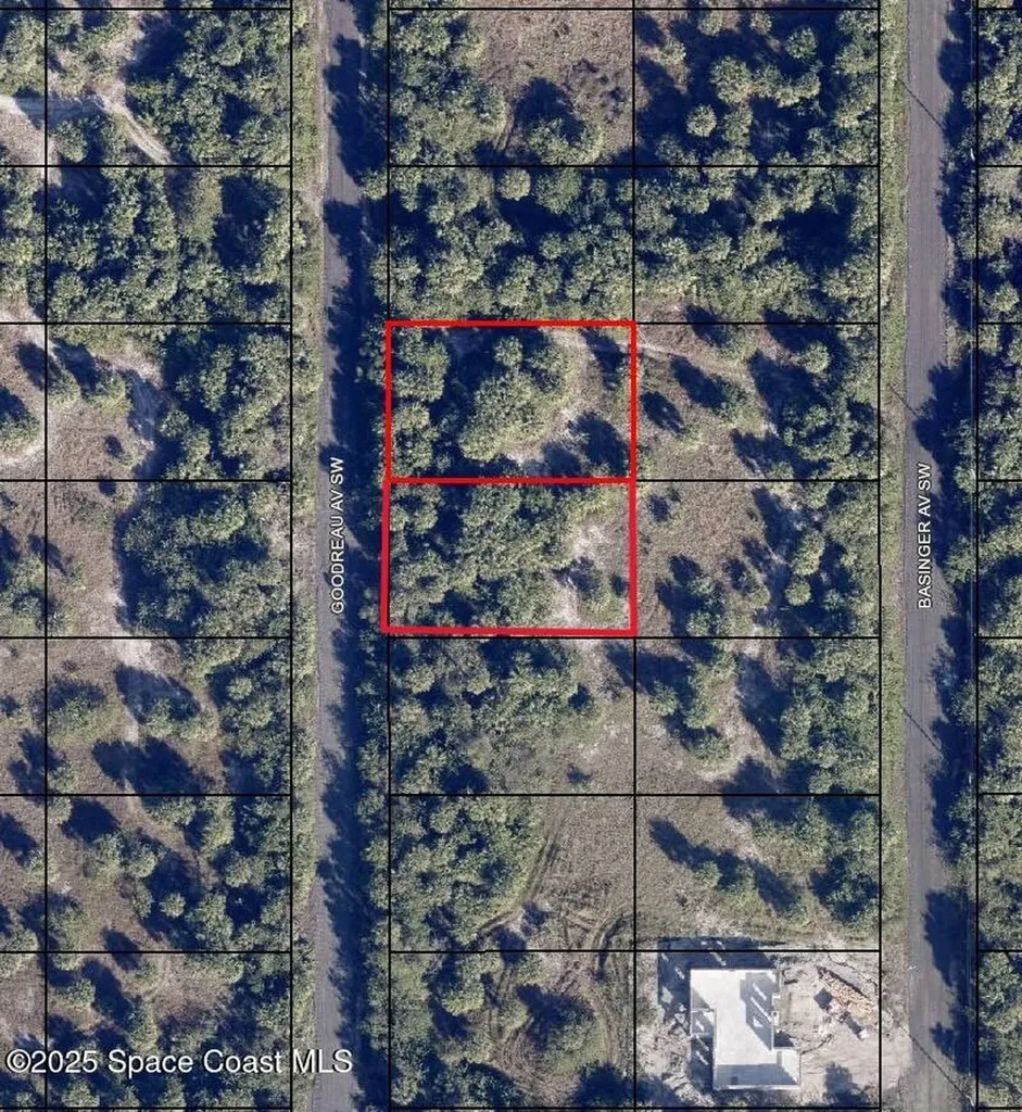 1991 1999 Goodreau (2 Lots) Avenue SW Palm Bay FL 32908